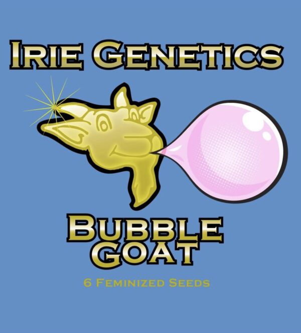 Bubble Goat Feminized Seeds