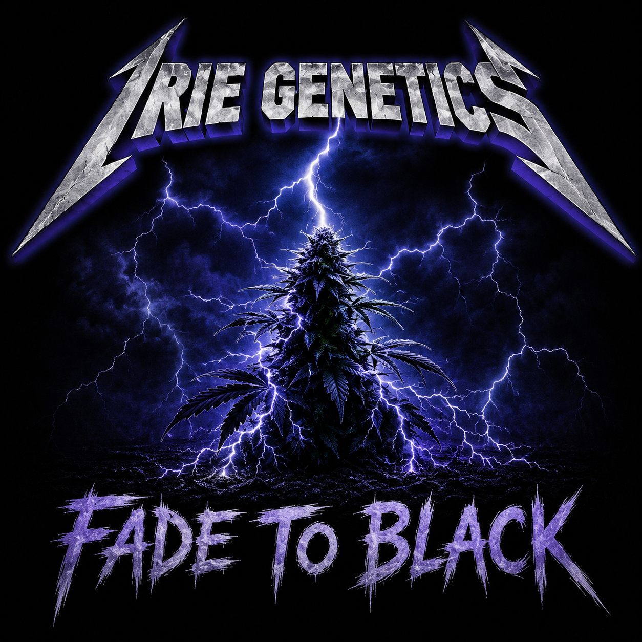 Fade To Black Feminized Seed 100 Pack